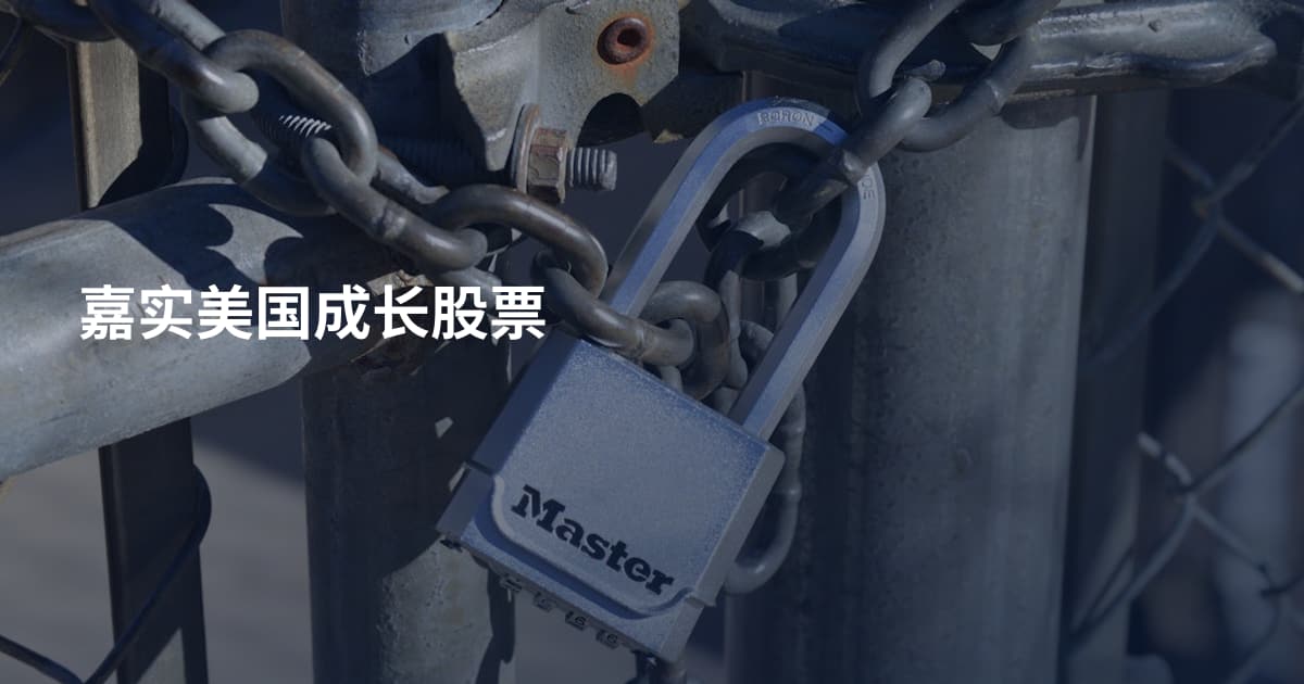 嘉实美国成长股票