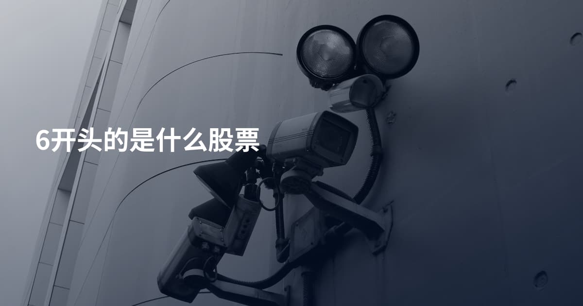 6开头的是什么股票