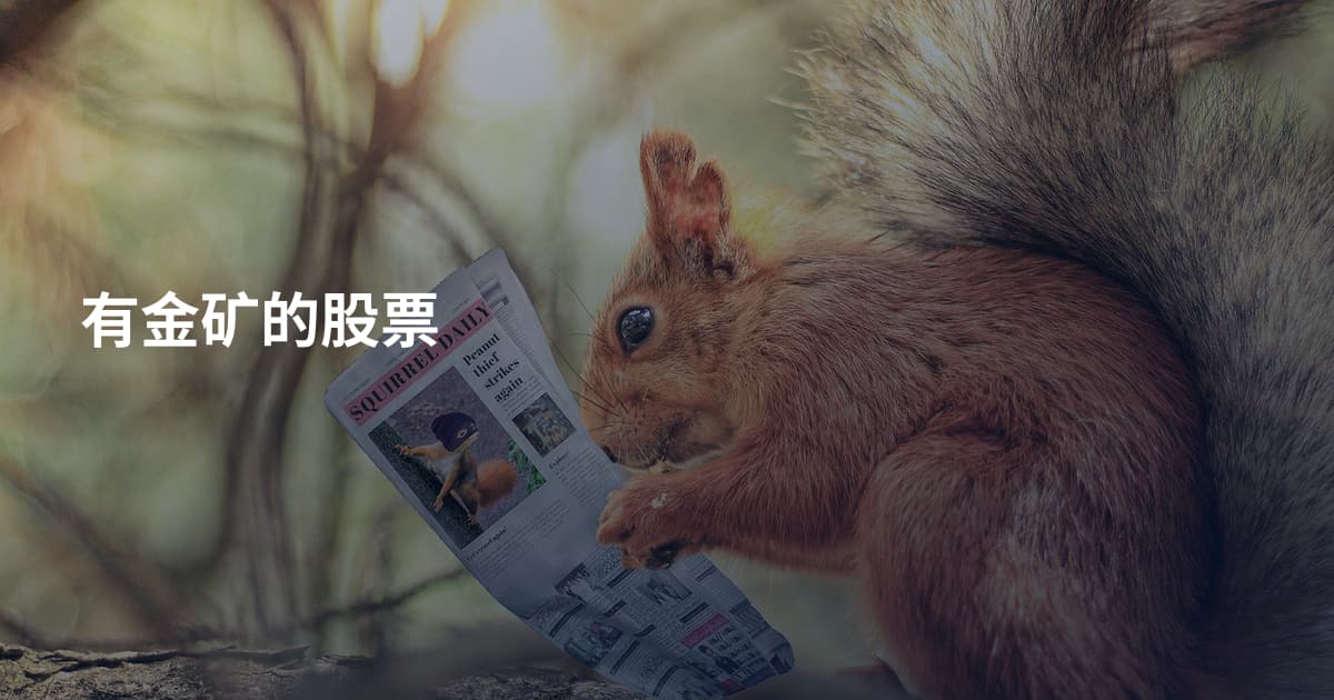 有金矿的股票