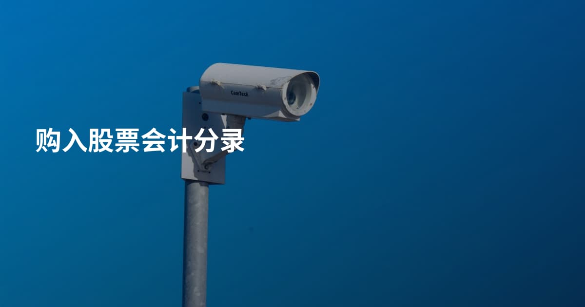 购入股票会计分录