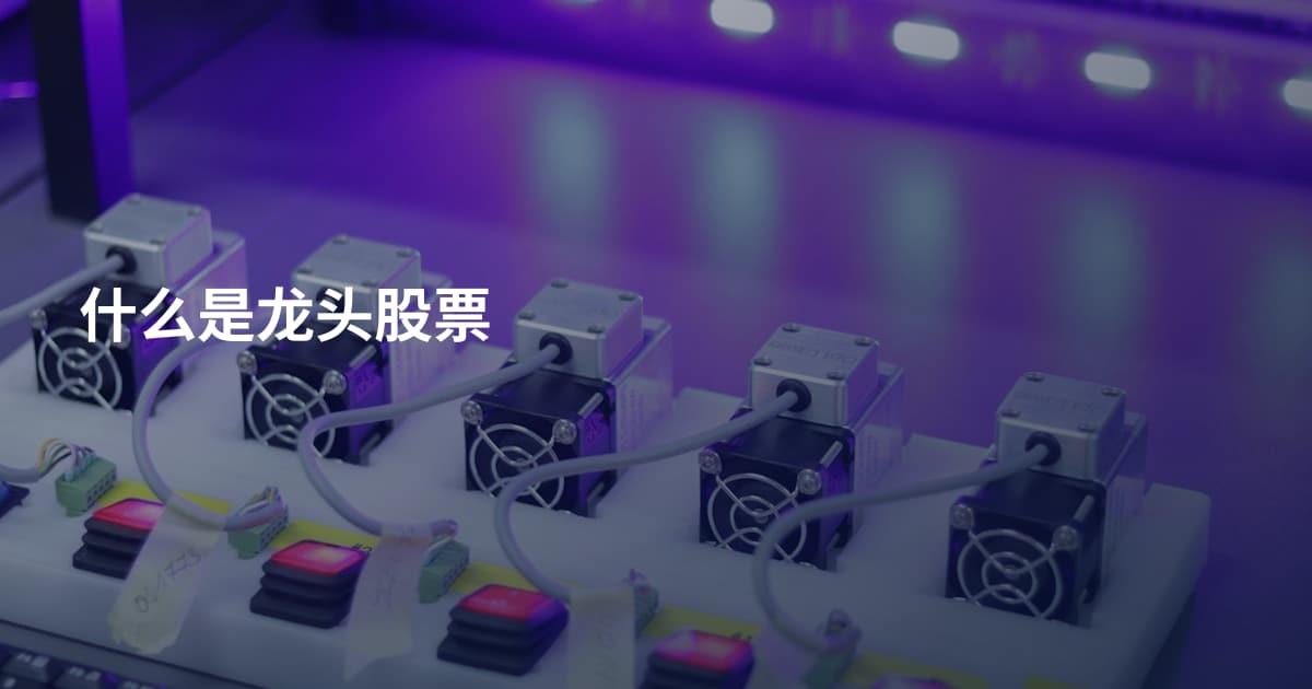 什么是龙头股票