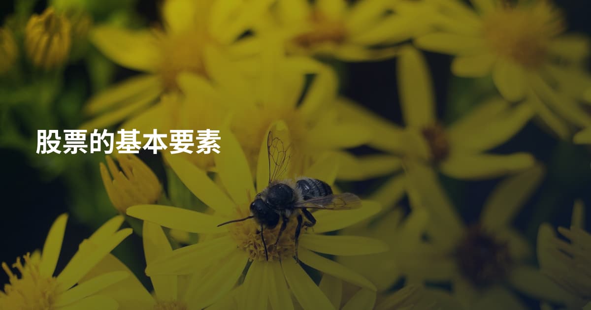 股票的基本要素