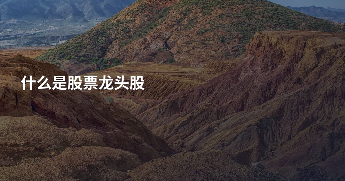 什么是股票龙头股