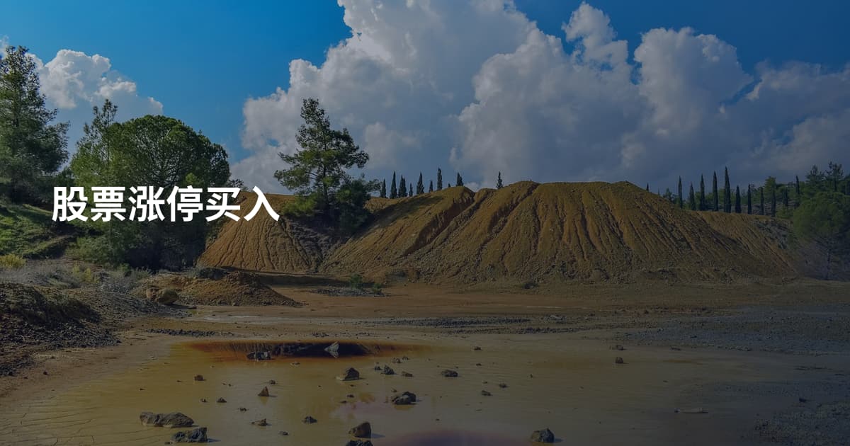 股票涨停买入