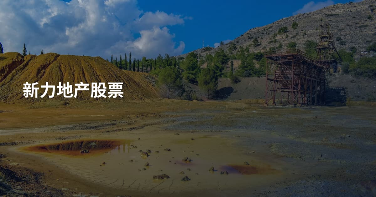 新力地产股票