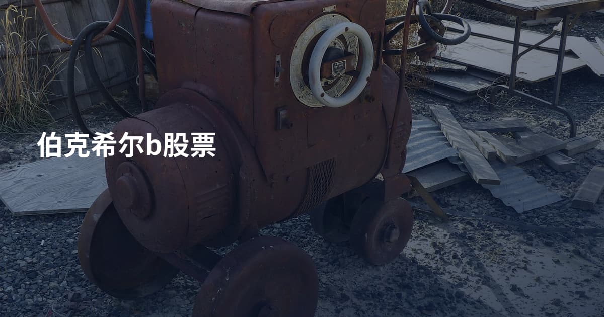 伯克希尔b股票