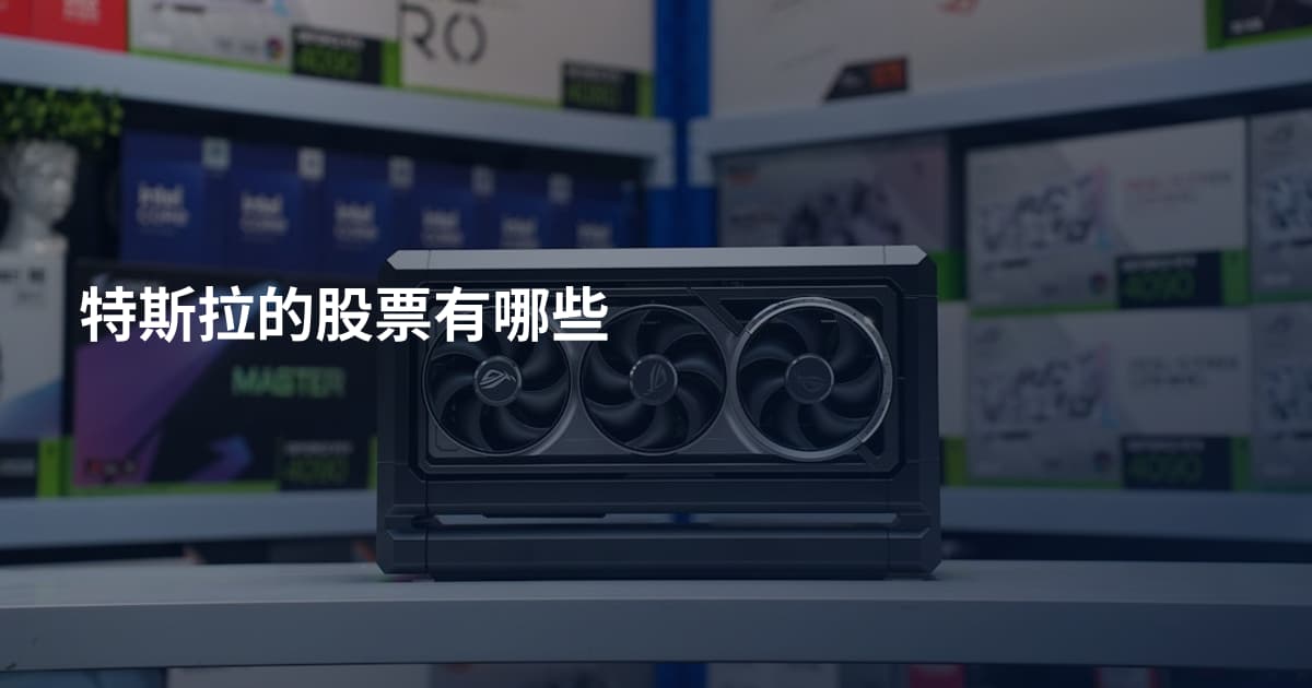 特斯拉的股票有哪些