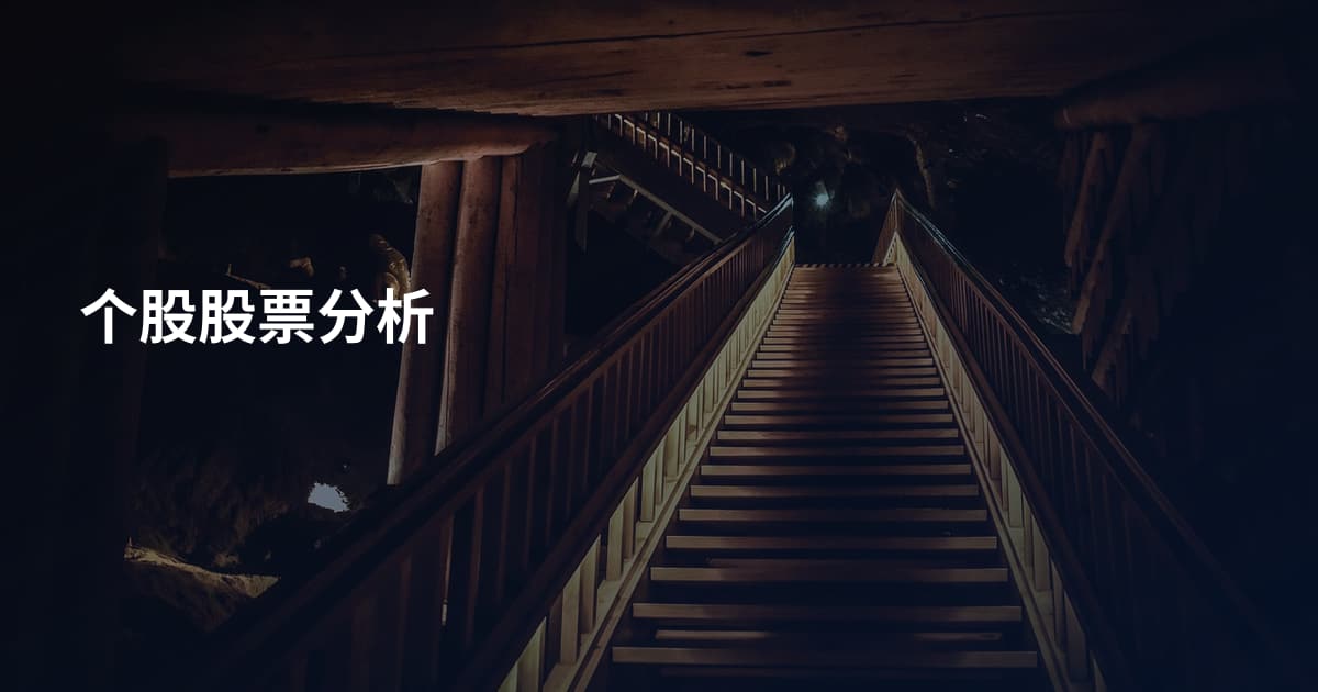 个股股票分析