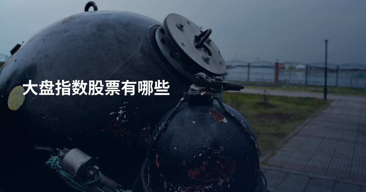 大盘指数股票有哪些