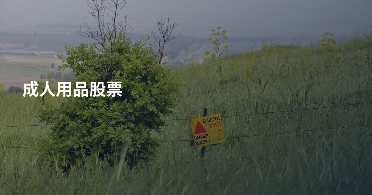 成人用品股票