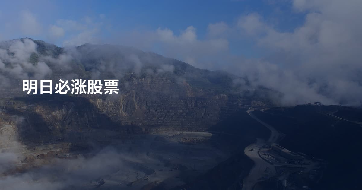 明日必涨股票