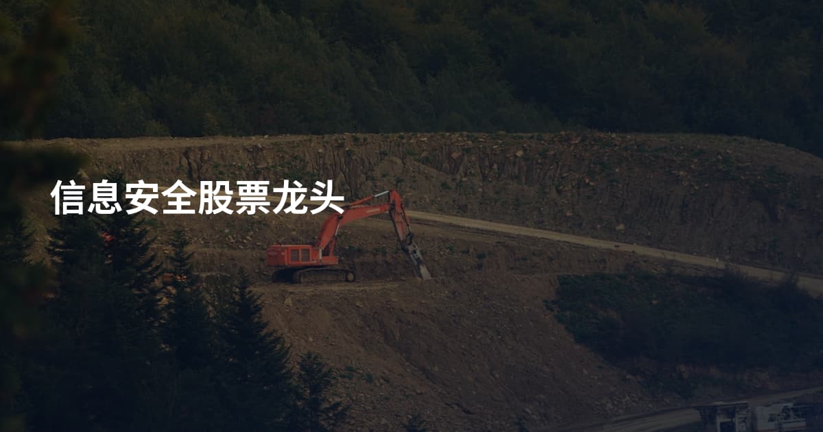 信息安全股票龙头