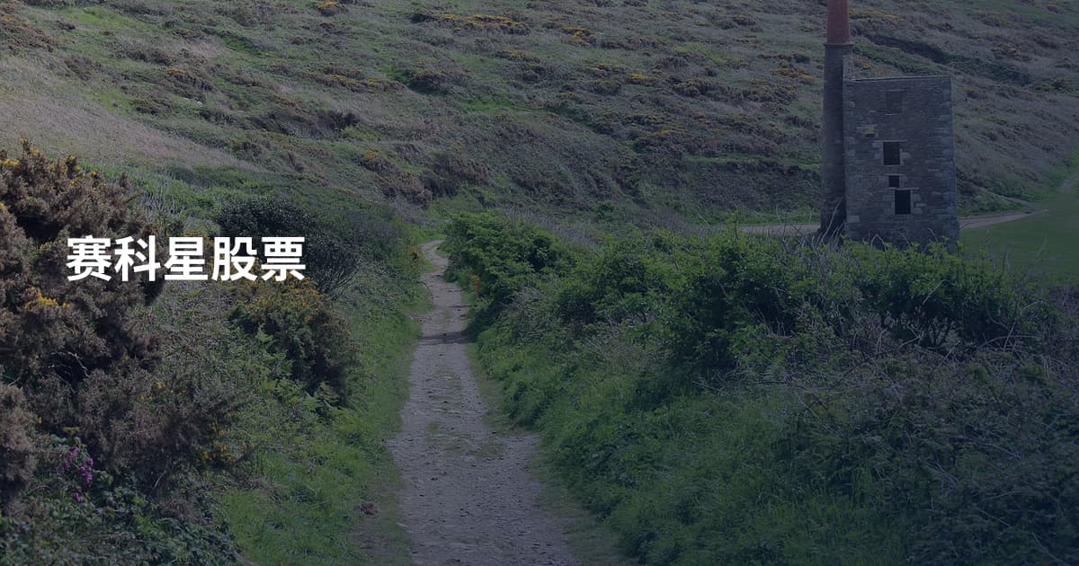 赛科星股票