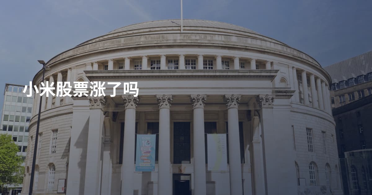 小米股票涨了吗
