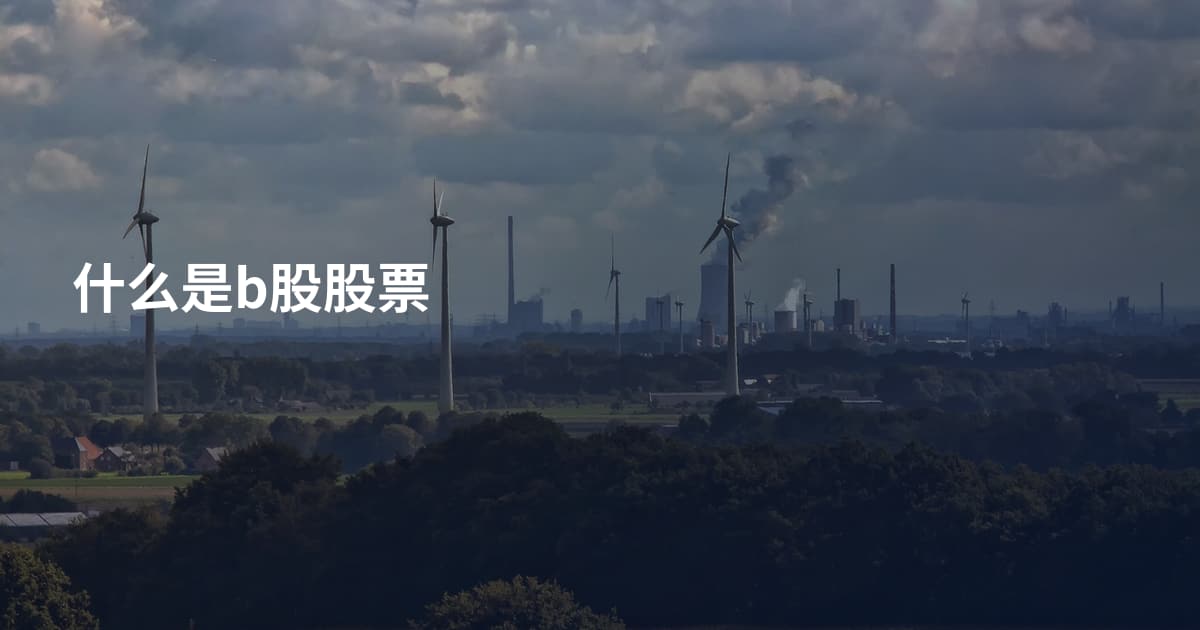 什么是b股股票