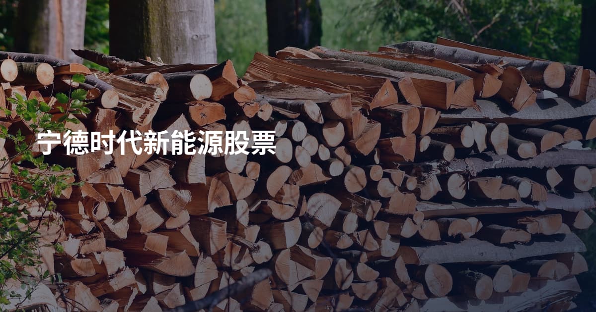宁德时代新能源股票