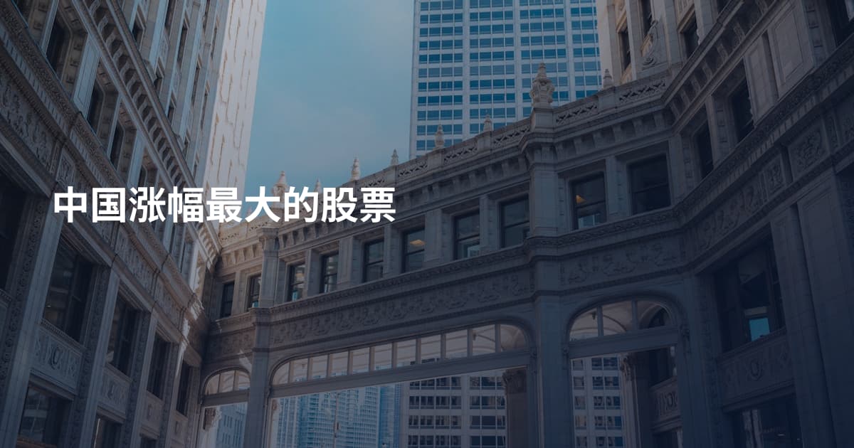 中国涨幅最大的股票
