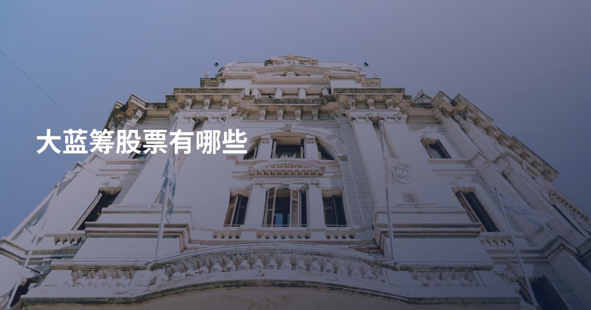 大蓝筹股票有哪些