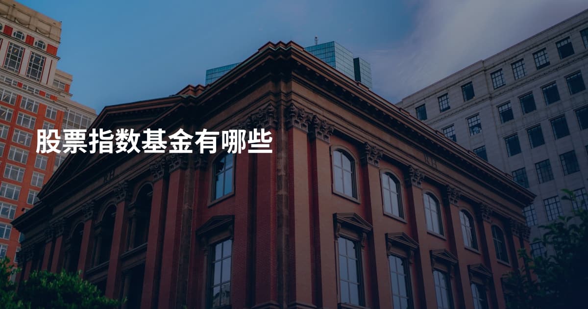 股票指数基金有哪些