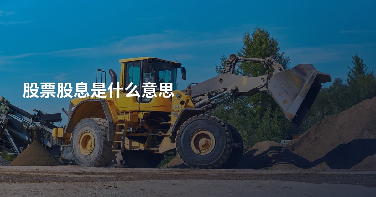 股票股息是什么意思