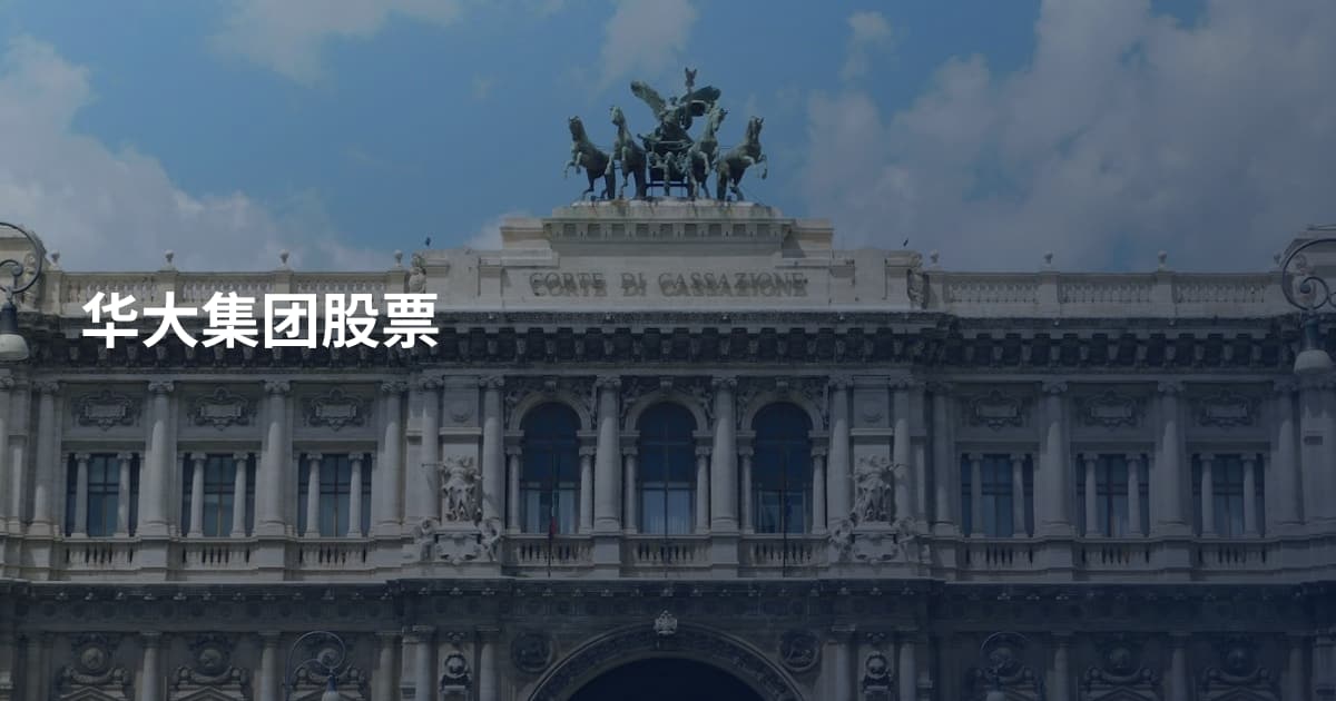 华大集团股票