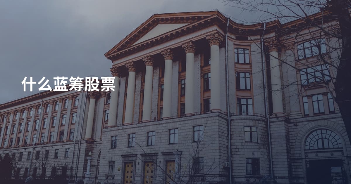 什么蓝筹股票