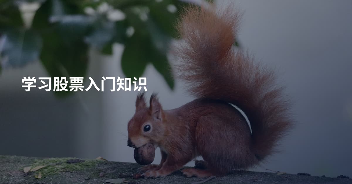 学习股票入门知识