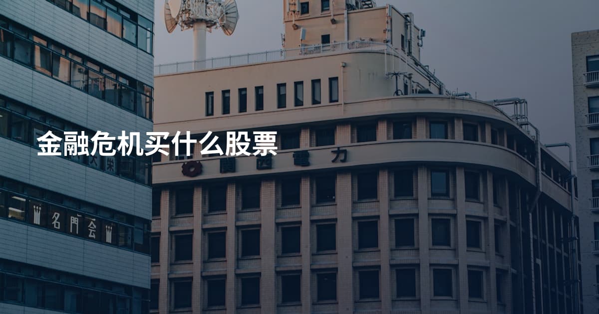 金融危机买什么股票