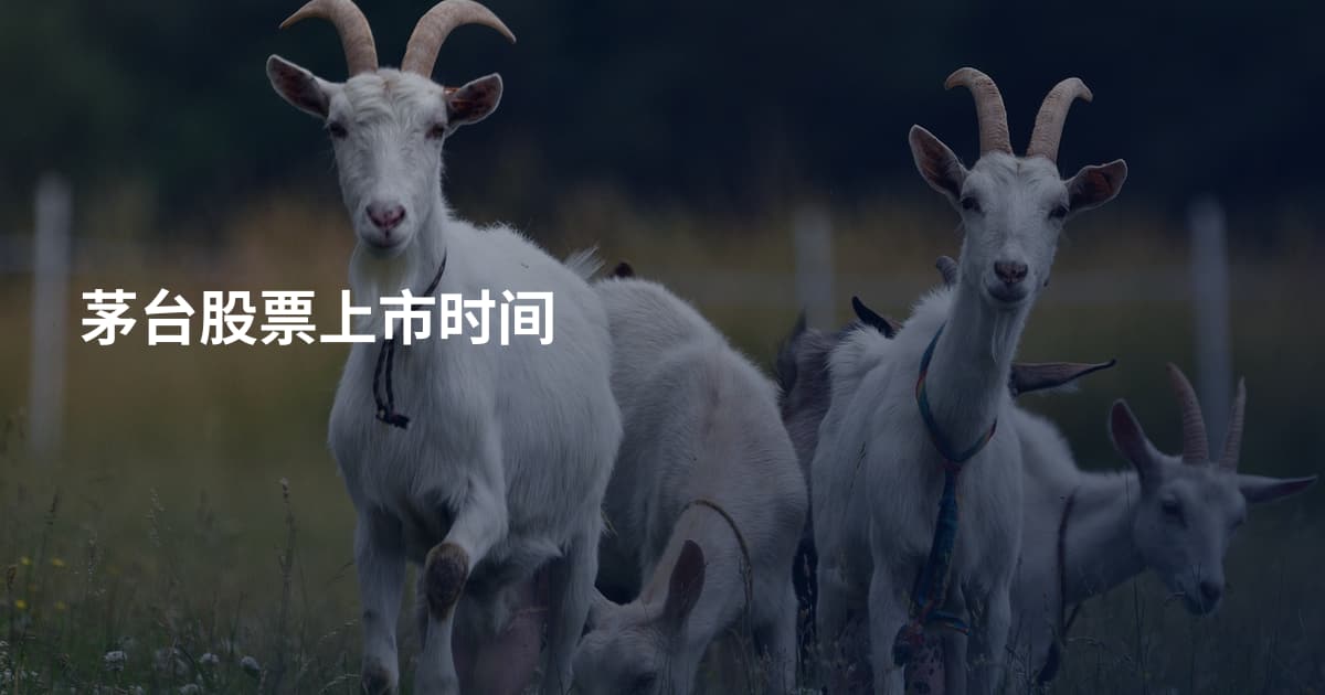 茅台股票上市时间