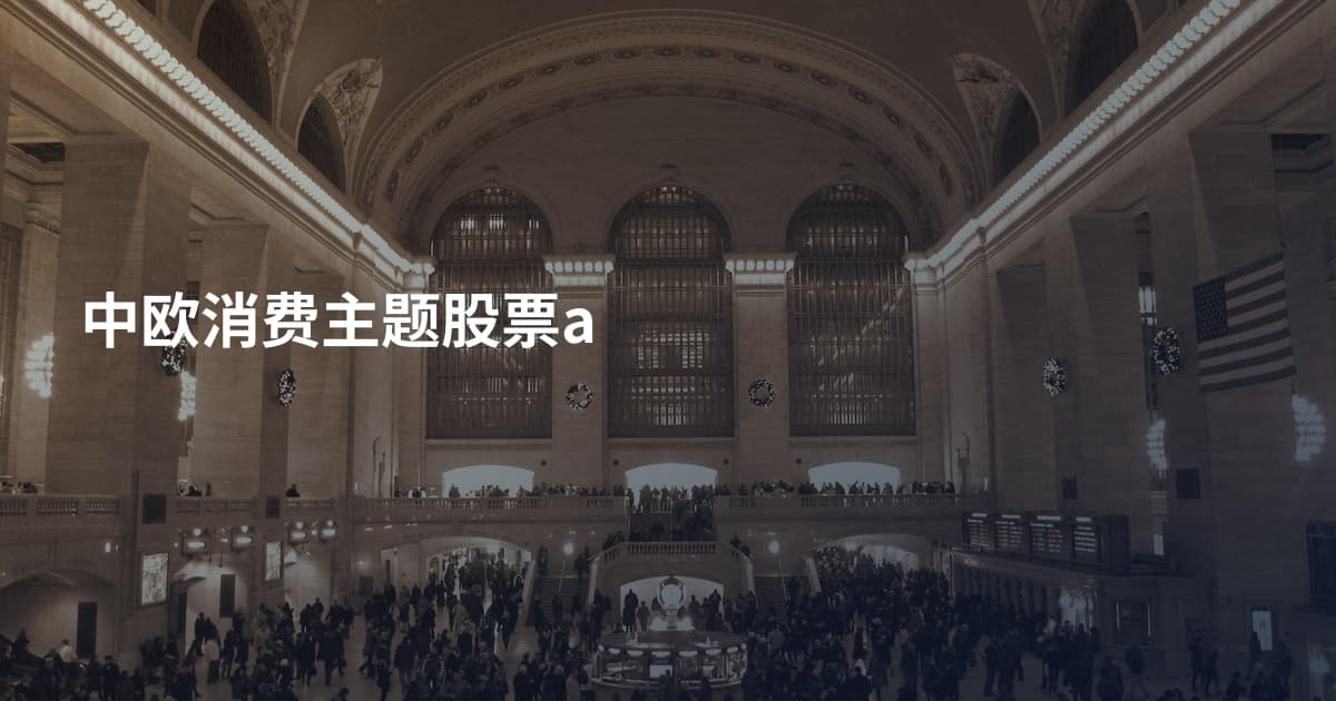 中欧消费主题股票a