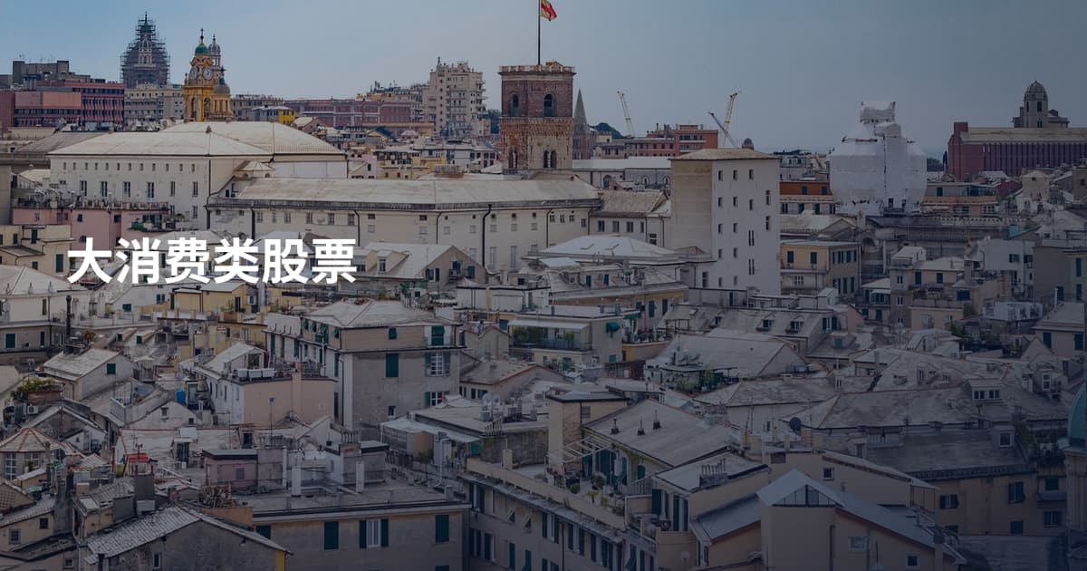 大消费类股票