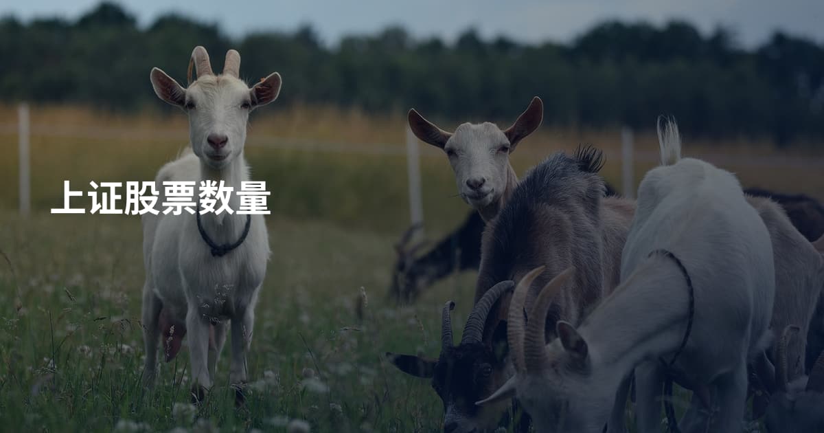 上证股票数量
