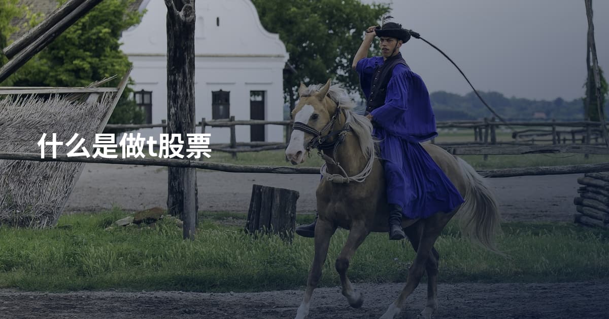什么是做t股票