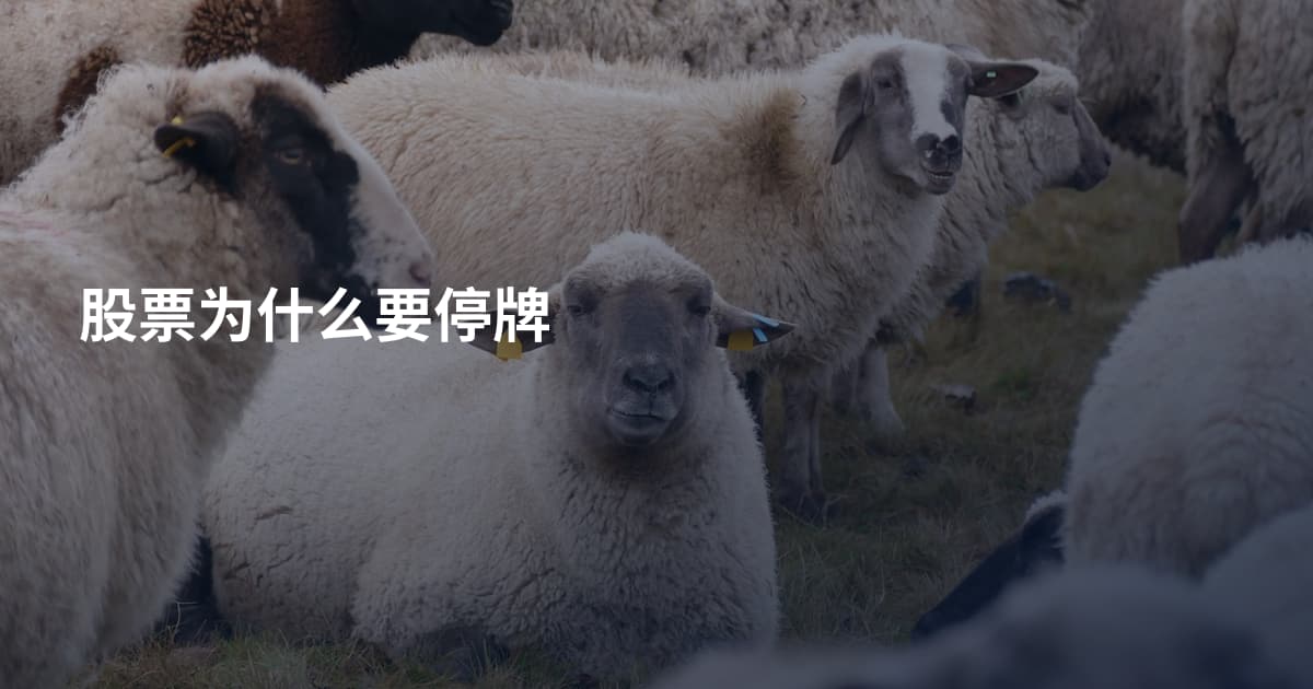 股票为什么要停牌