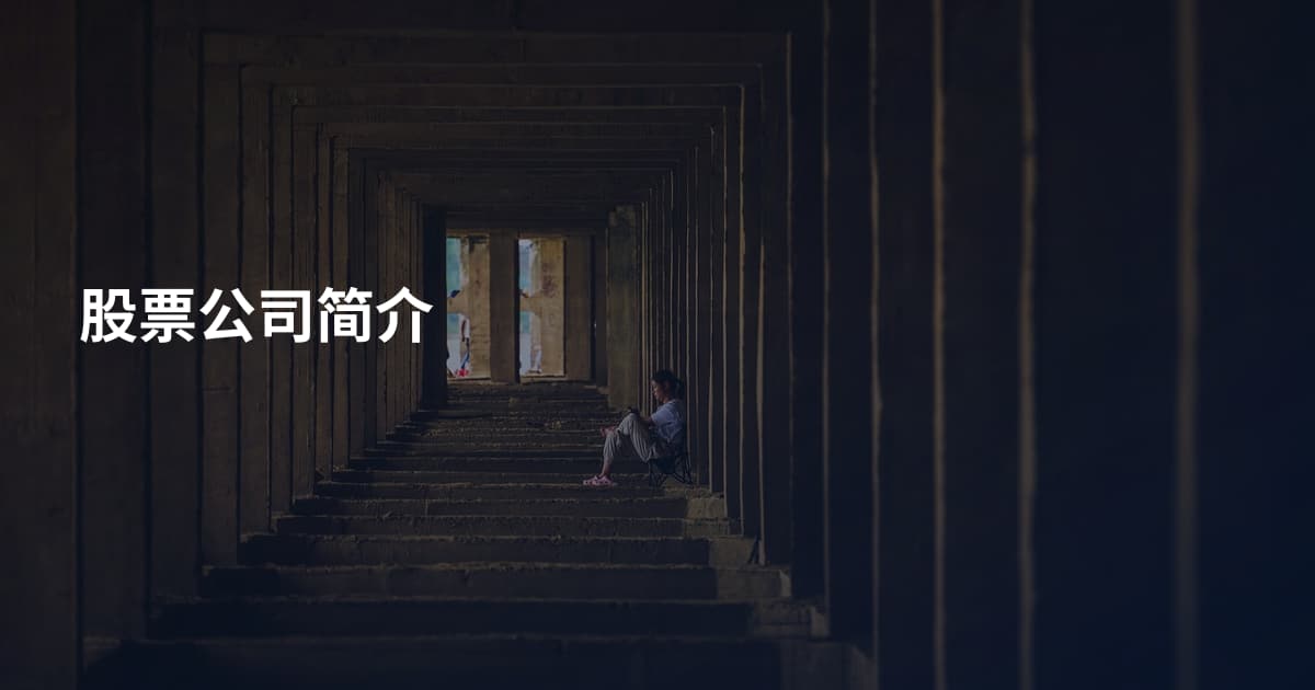 股票公司简介