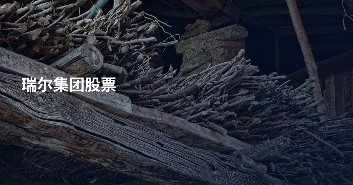 瑞尔集团股票
