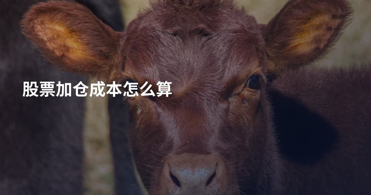 股票加仓成本怎么算