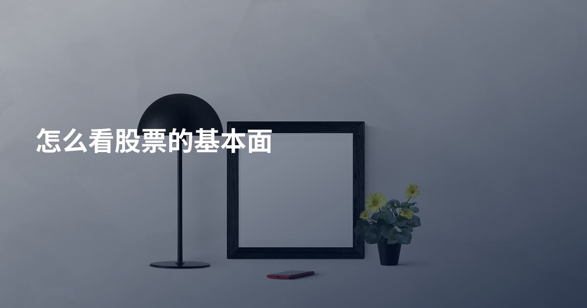 怎么看股票的基本面