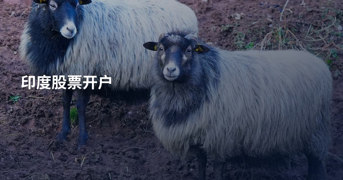 印度股票开户