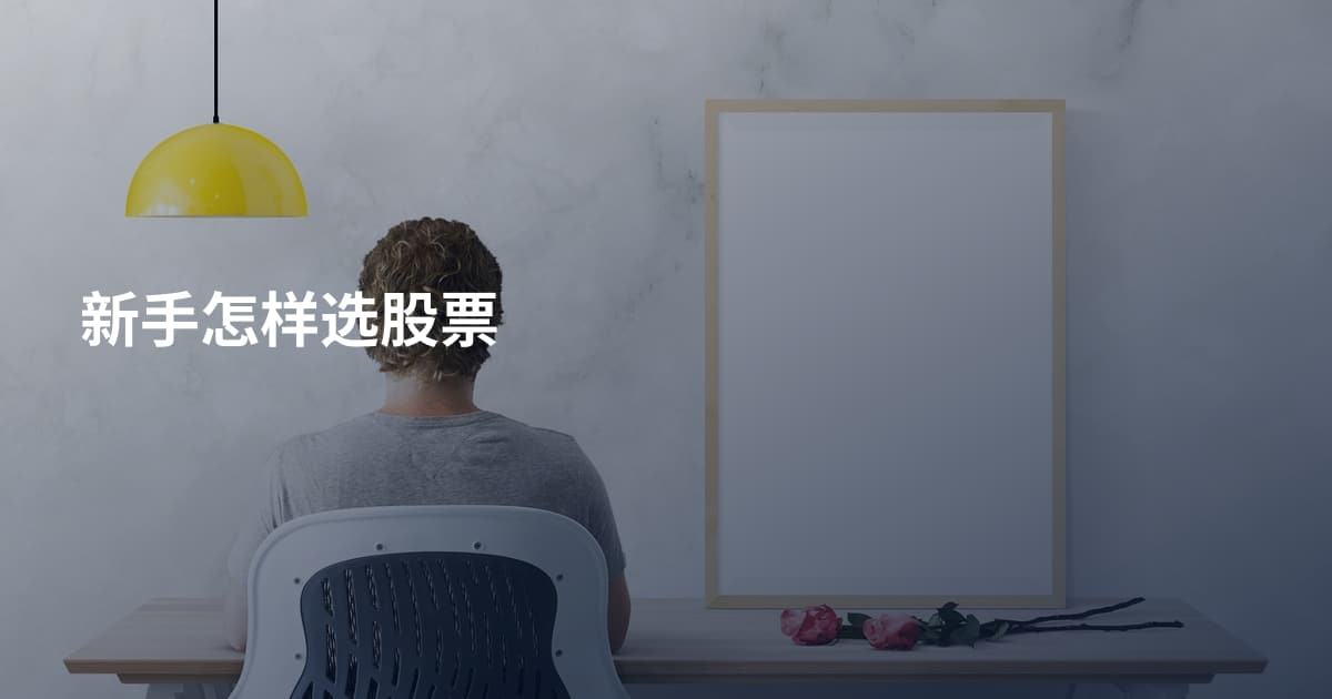 新手怎样选股票
