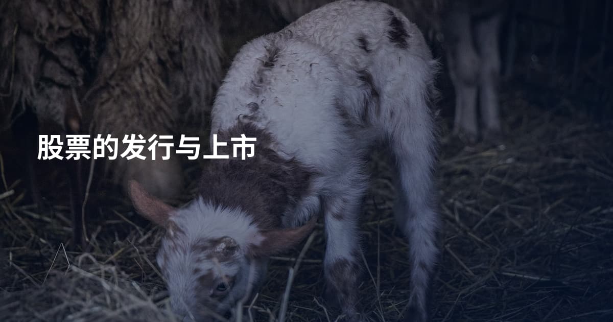 股票的发行与上市