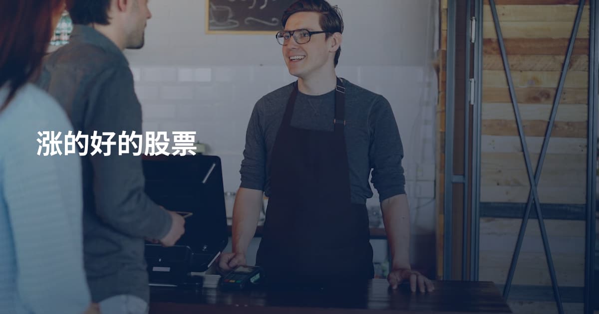 涨的好的股票
