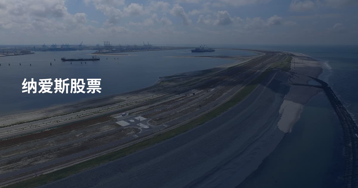 纳爱斯股票