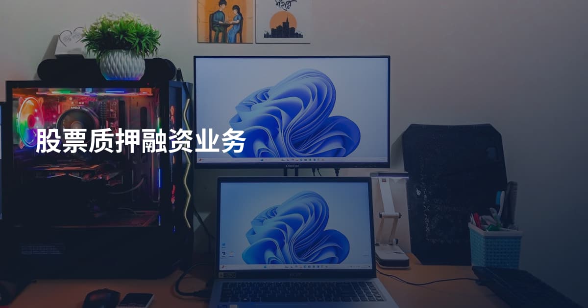 股票质押融资业务