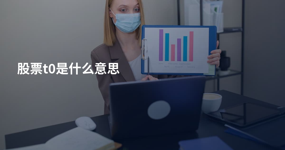 股票t0是什么意思