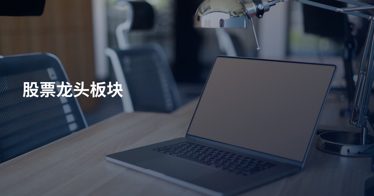 股票龙头板块