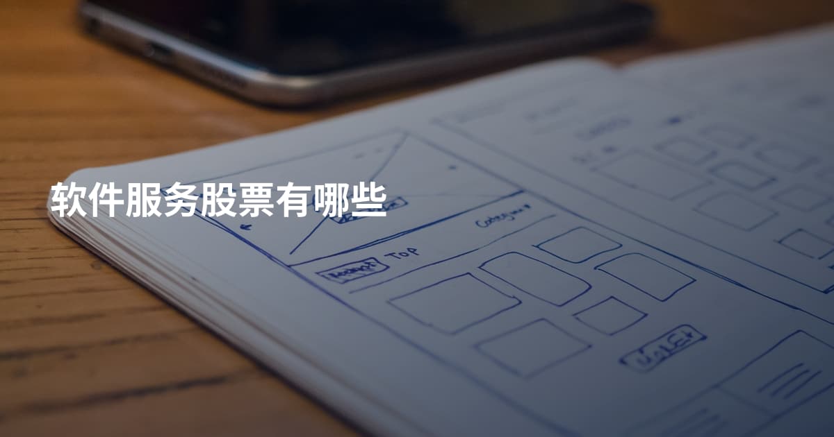 软件服务股票有哪些