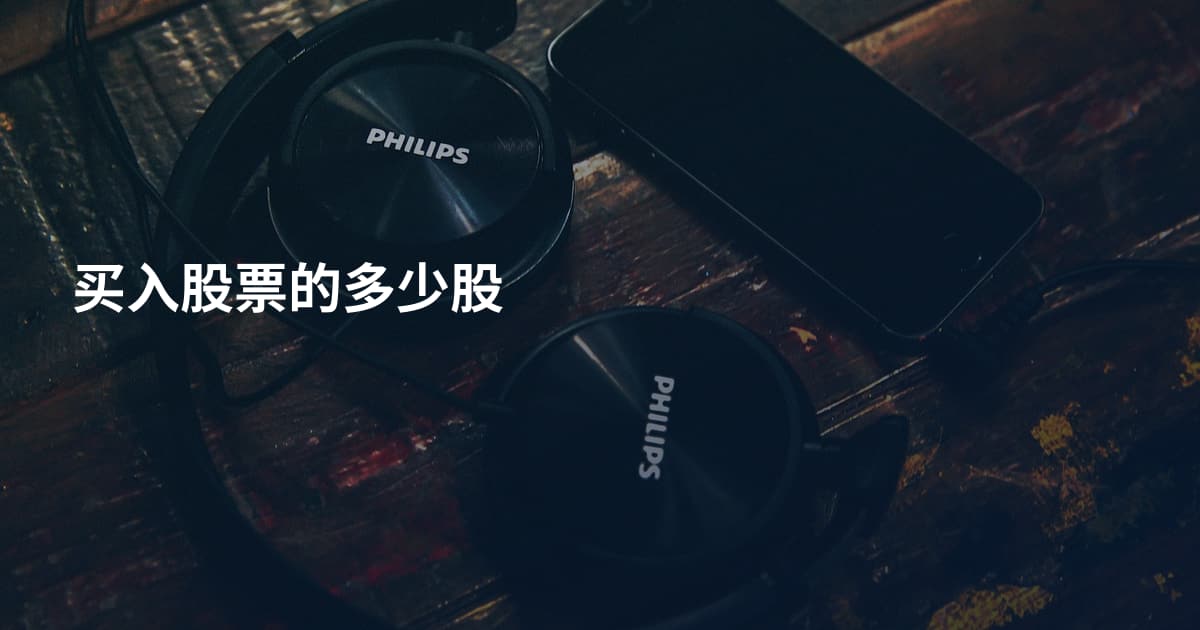 买入股票的多少股