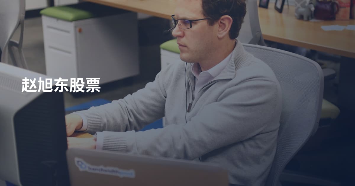 赵旭东股票