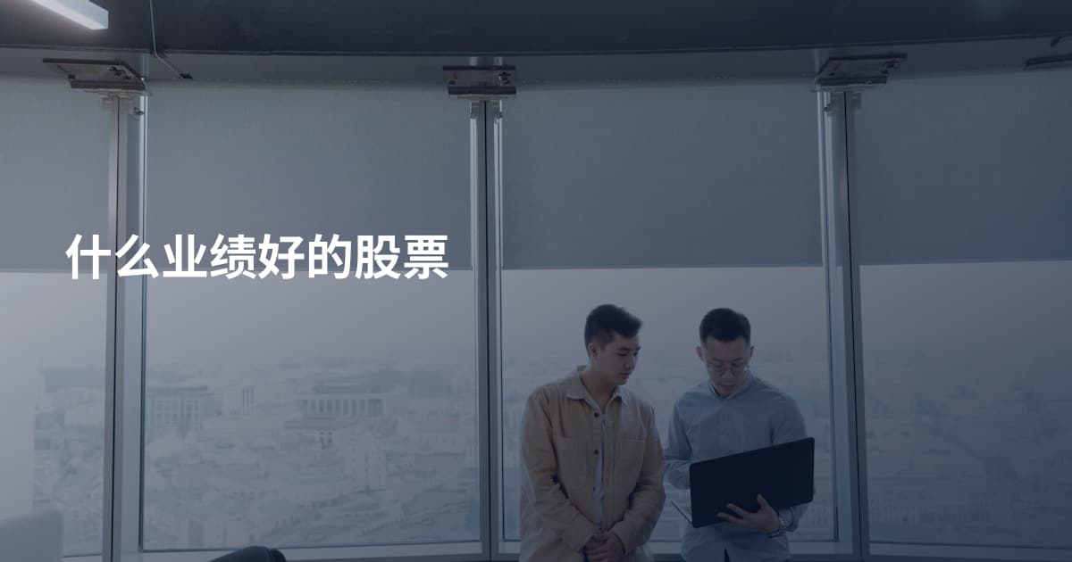 什么业绩好的股票